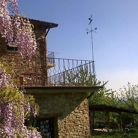 B&B La Civetta Ponzone 外观 照片